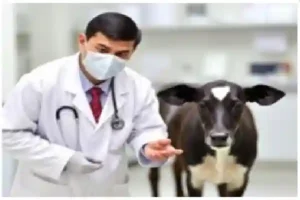 Veterinary Pharmacist requires-jkssb