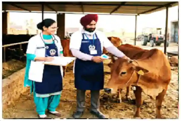 PSSSB requires 150 Veterinary Inspectors